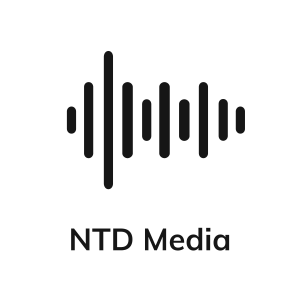 NTD Media Sin Fondo
